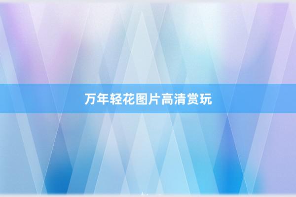 万年轻花图片高清赏玩